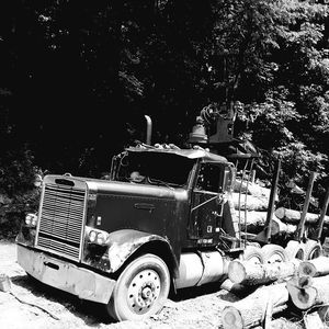 Meet your Posher, Trevor